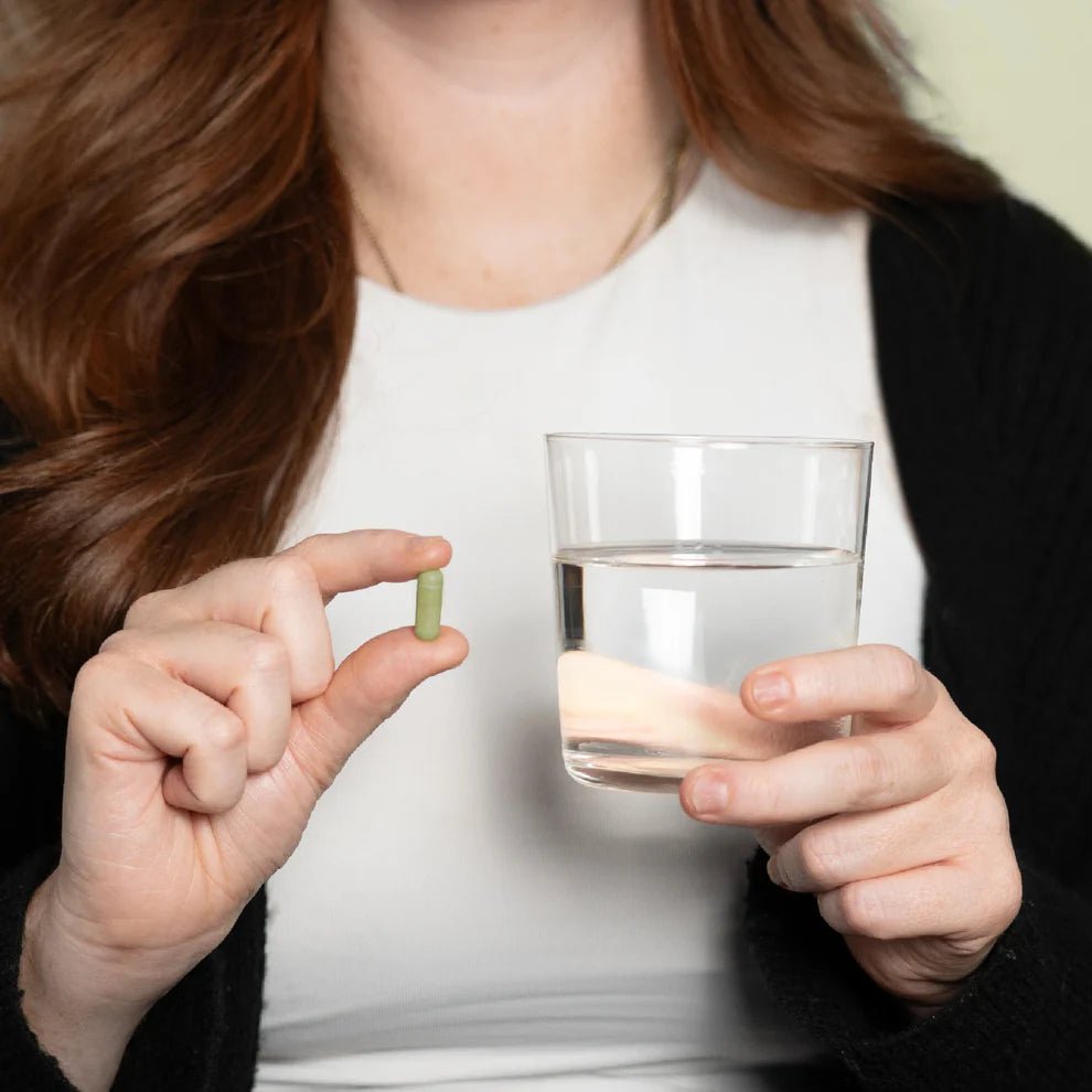 Moringa - Pulver - Kapseln Supplements - Hanfify