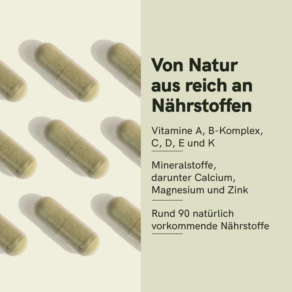 Moringa - Pulver - Kapseln Supplements - Hanfify