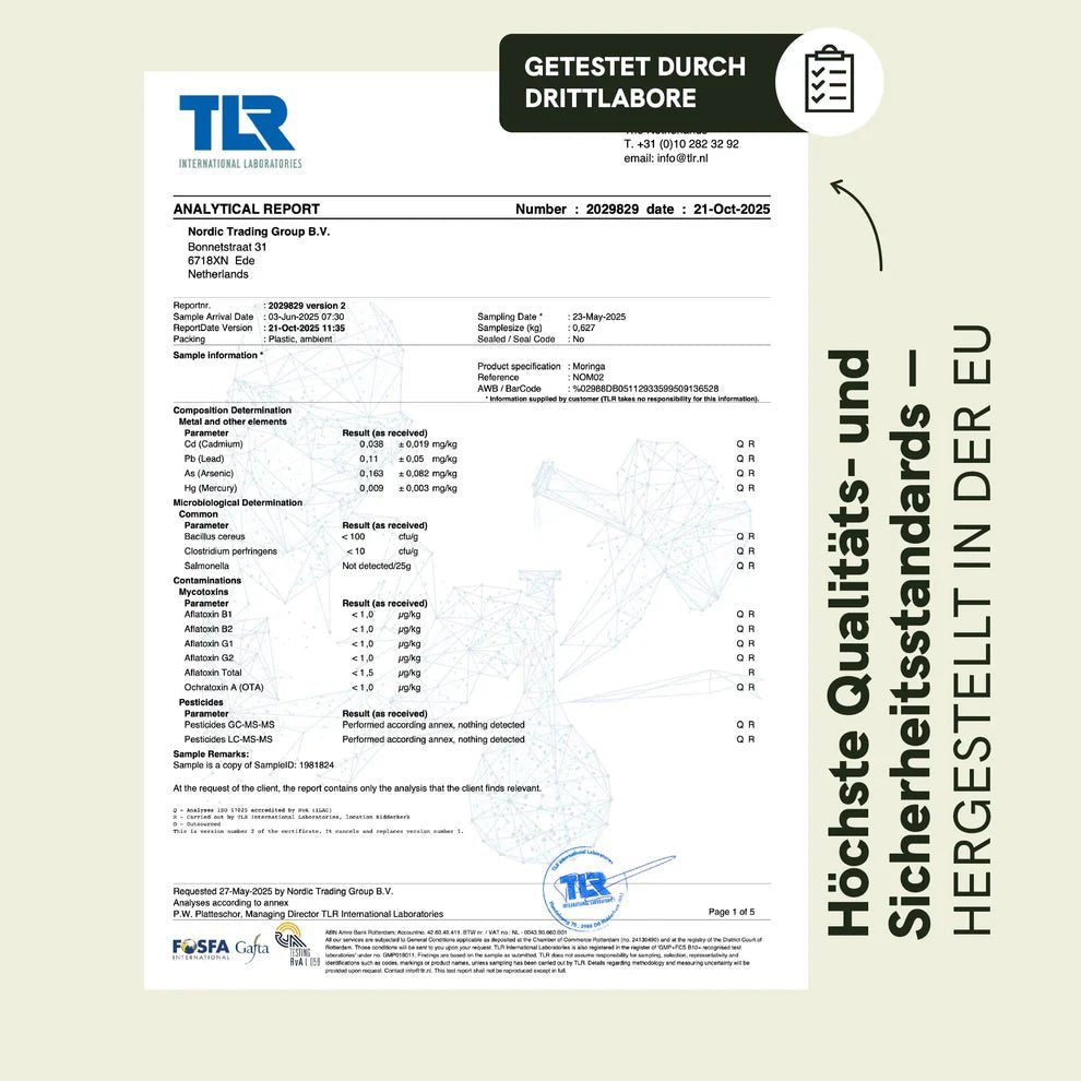 Moringa - Pulver - Kapseln Supplements - Hanfify