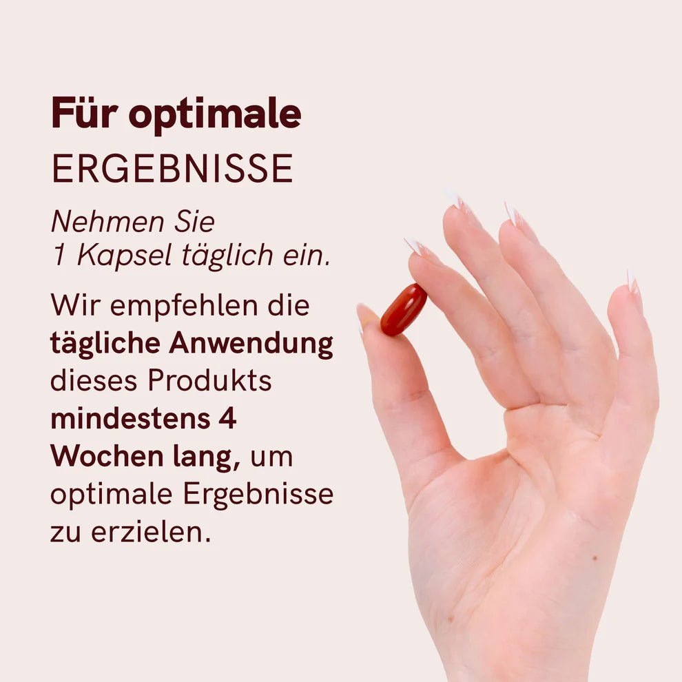 Multi Komplex 50+ Supplements - Hanfify