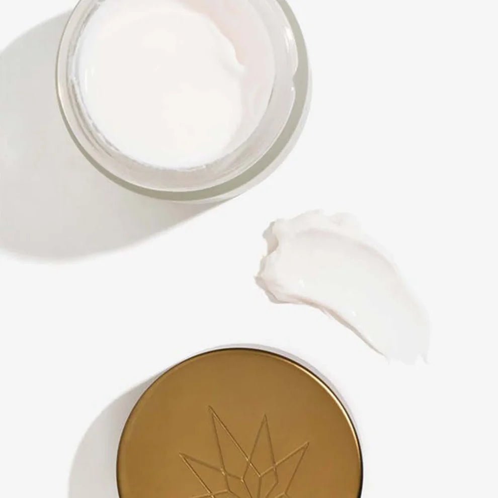 Nachtcreme – CBD & Vitamin E Kosmetik & Pflege - Hanfify