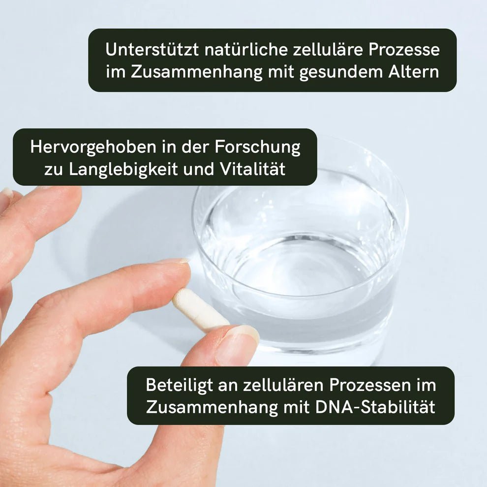 NAD+ Kapseln Supplements - Hanfify