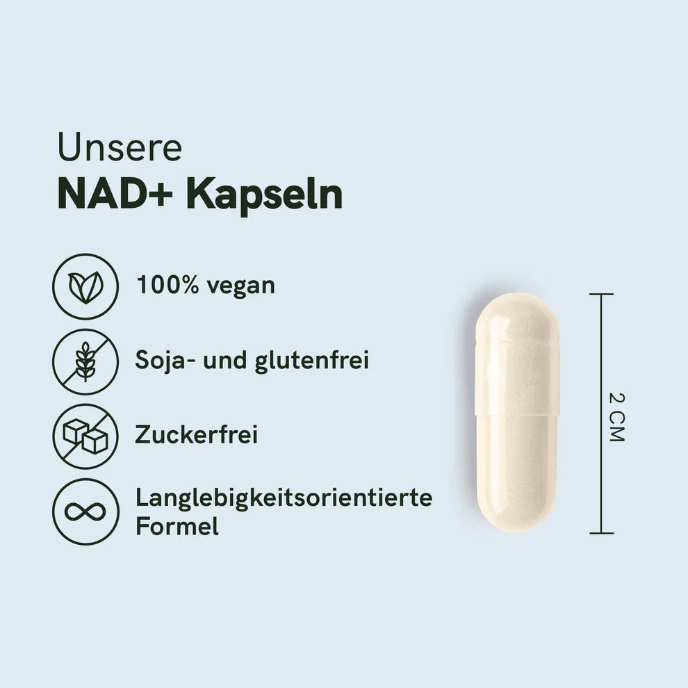 NAD+ Kapseln Supplements - Hanfify