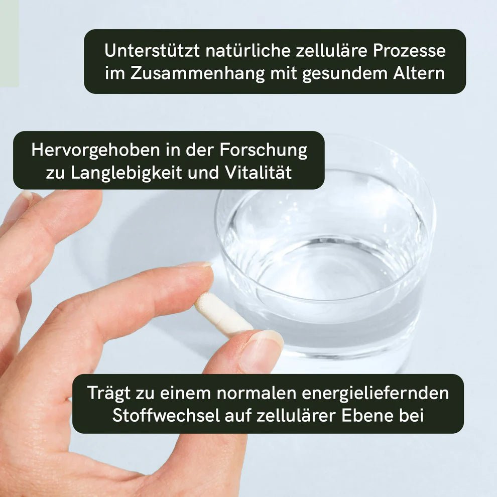 Nicotinamid - Ribosid (NR) Kapseln Supplements - Hanfify