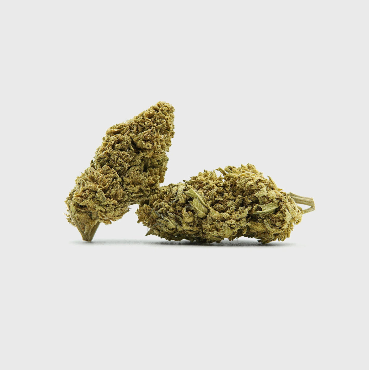 🌌 Northern Lights 2 5% CBD Blüten 5g Baggie - Hanfify®