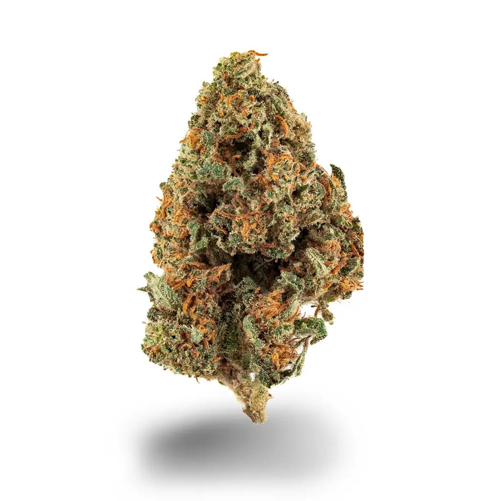 Northern Lights Blüten 2,5g - Hanfify