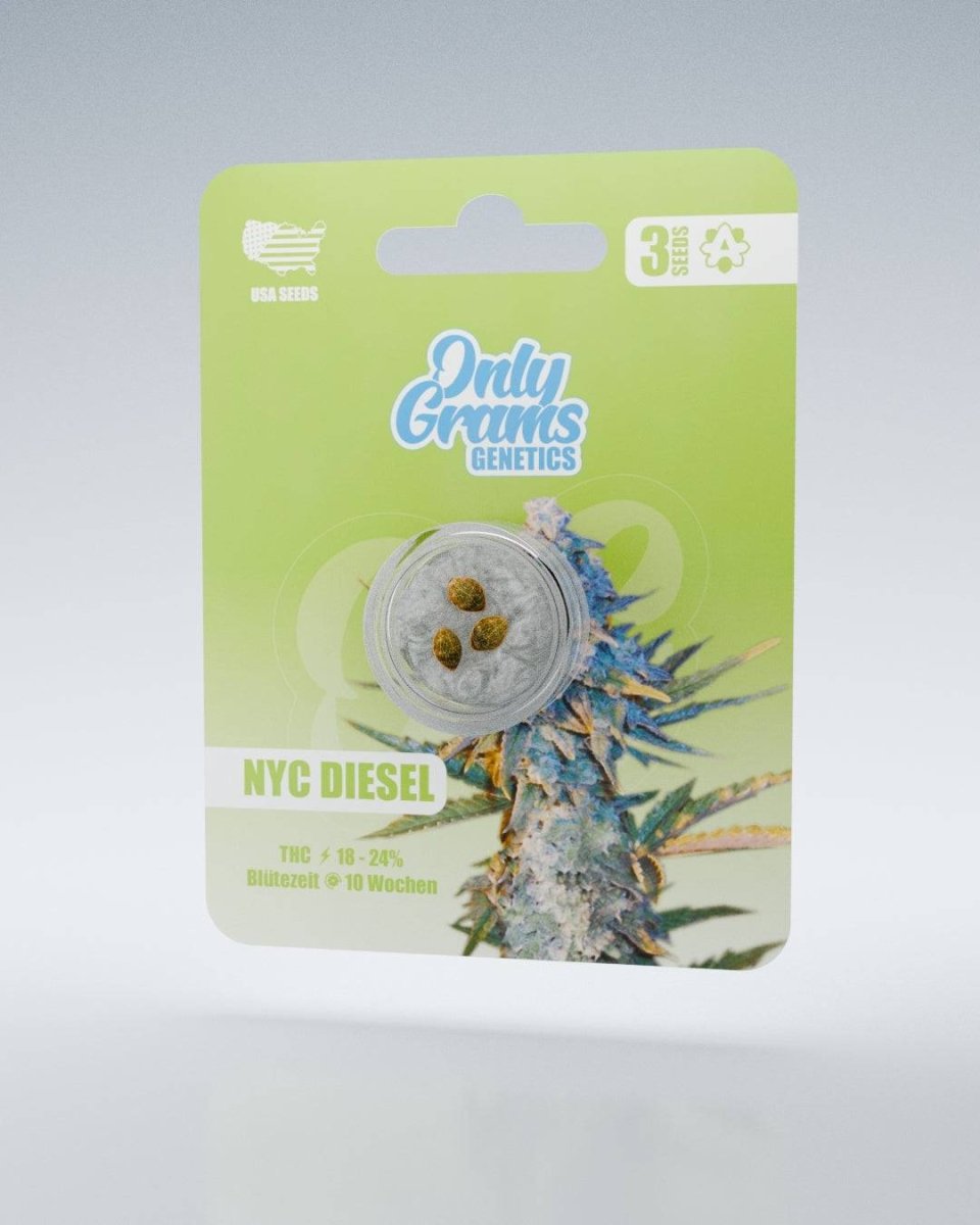 NYC Diesel THC - Seeds Cannabissamen - Hanfify