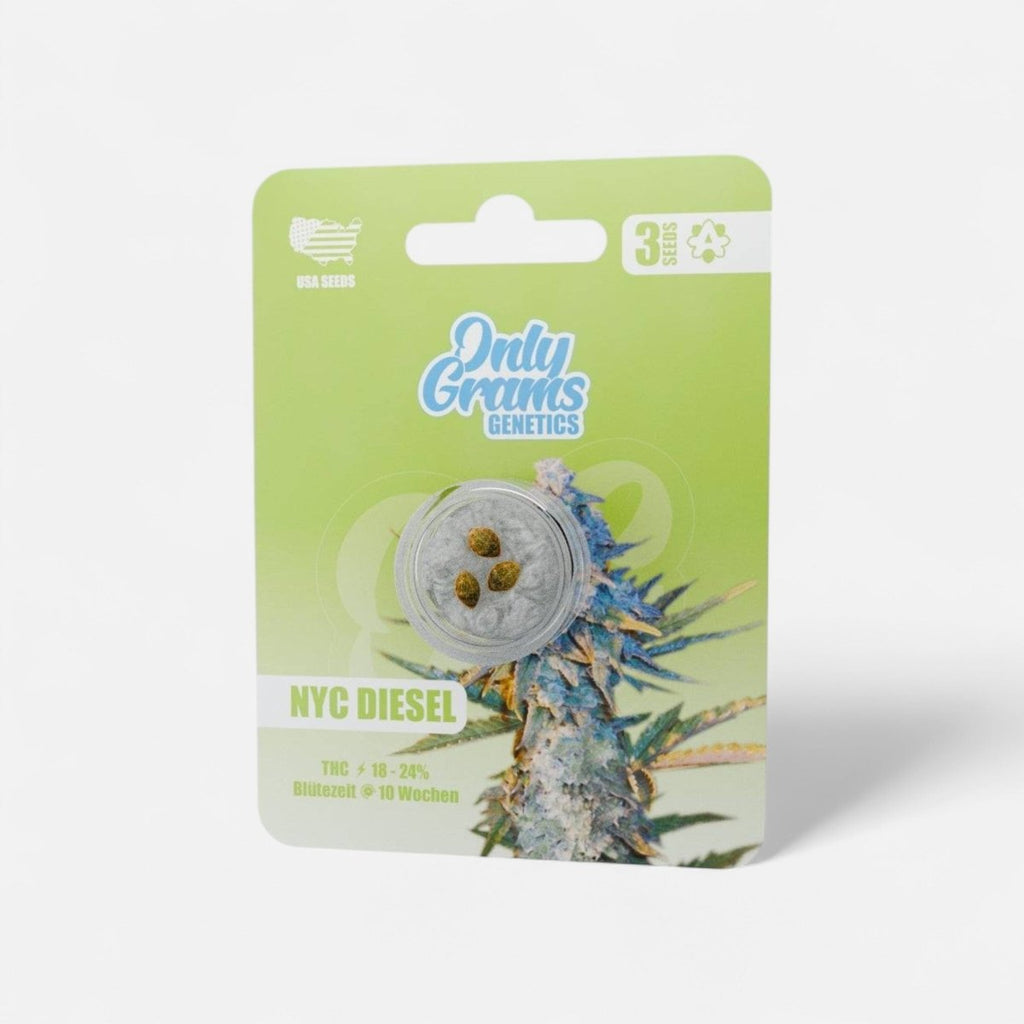 NYC Diesel THC-Seeds - Cannabissamen - Hanfify®
