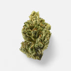 OG Kush Hanfstecklinge - Hanfify