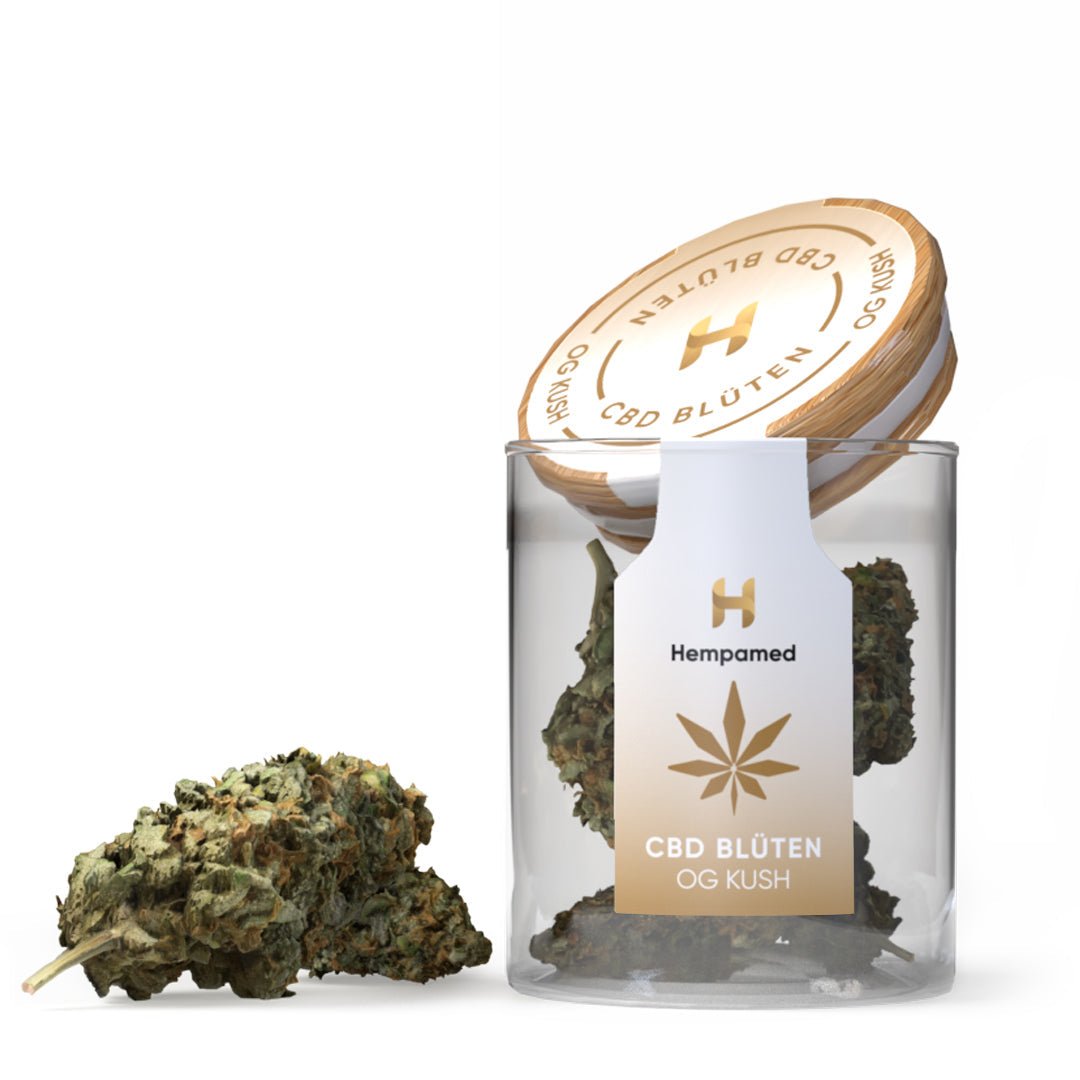 OG Kush CBD Blüten (2 g) Blüten - Hanfify®