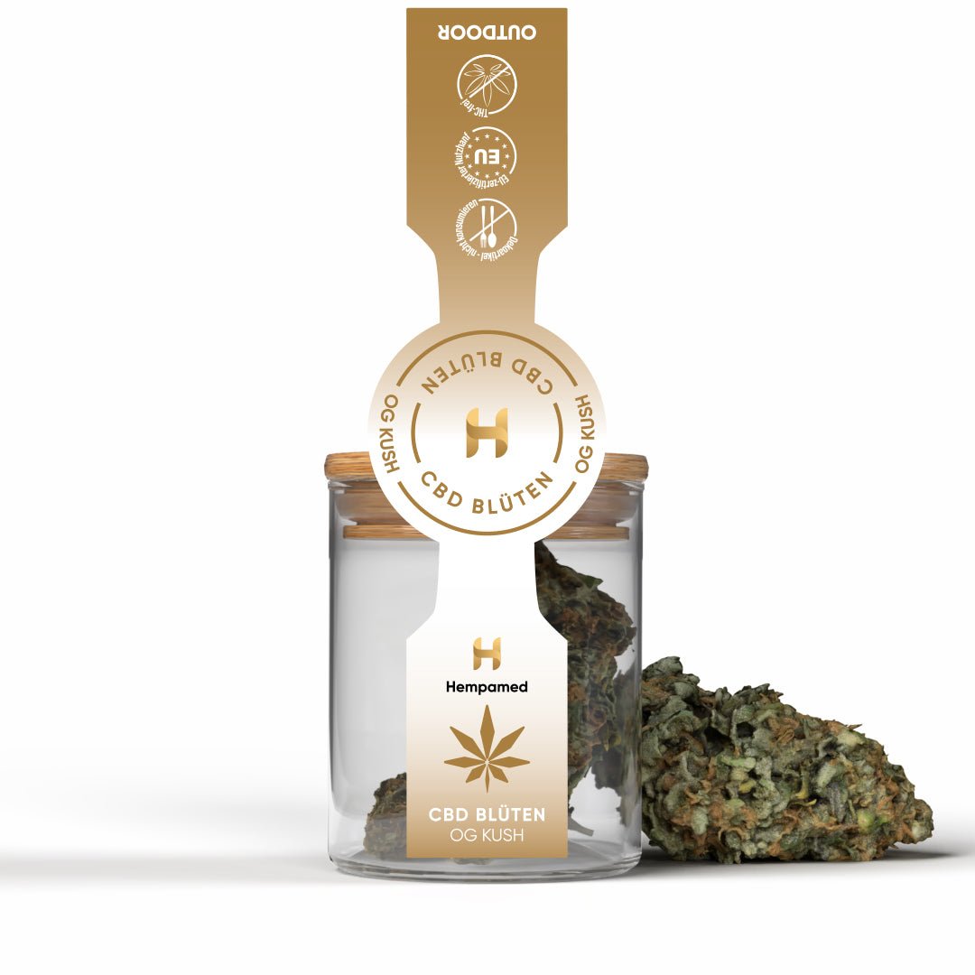 OG Kush CBD Blüten (2 g) Blüten - Hanfify®