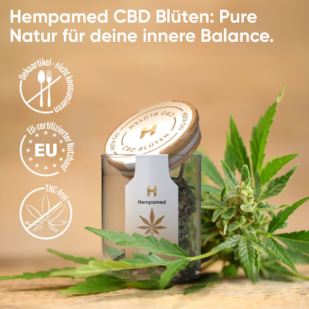 OG Kush CBD Blüten (2 g) Blüten - Hanfify®