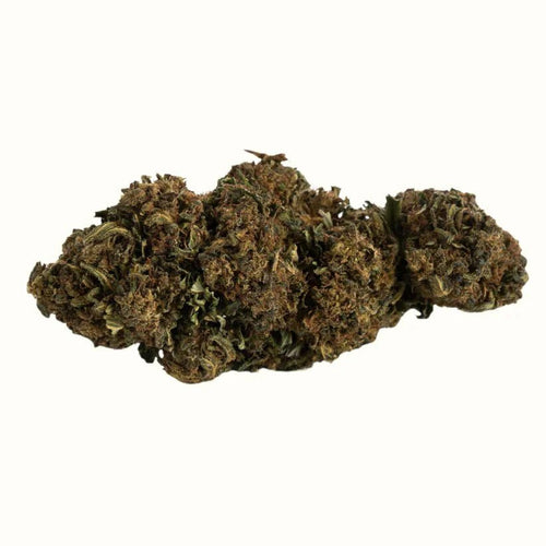 OG KUSH X 20% - Blüten - Hanfify®