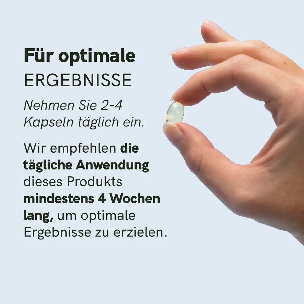 Omega 3 Kapseln Supplements - Hanfify