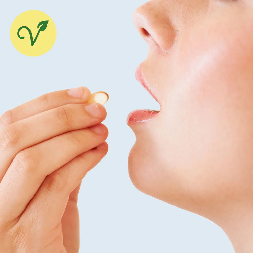 Omega 3 Kapseln Supplements - Hanfify