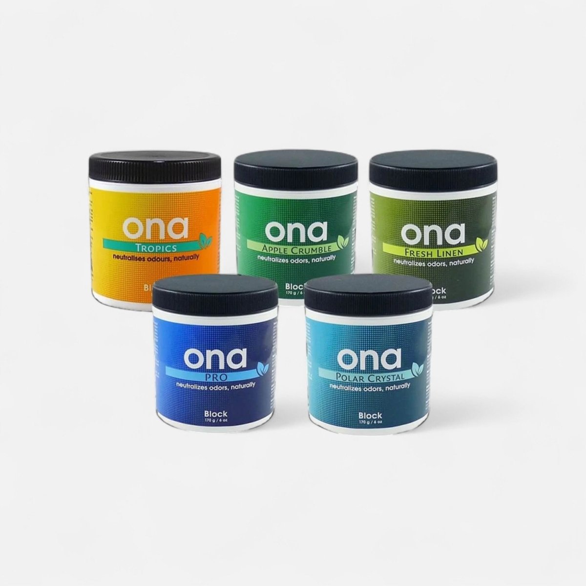 ONA Block - Growshop - Hanfify®
