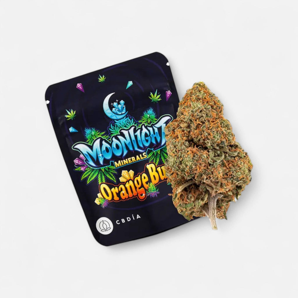 Orange Bud Blüten 2,5g - Hanfify