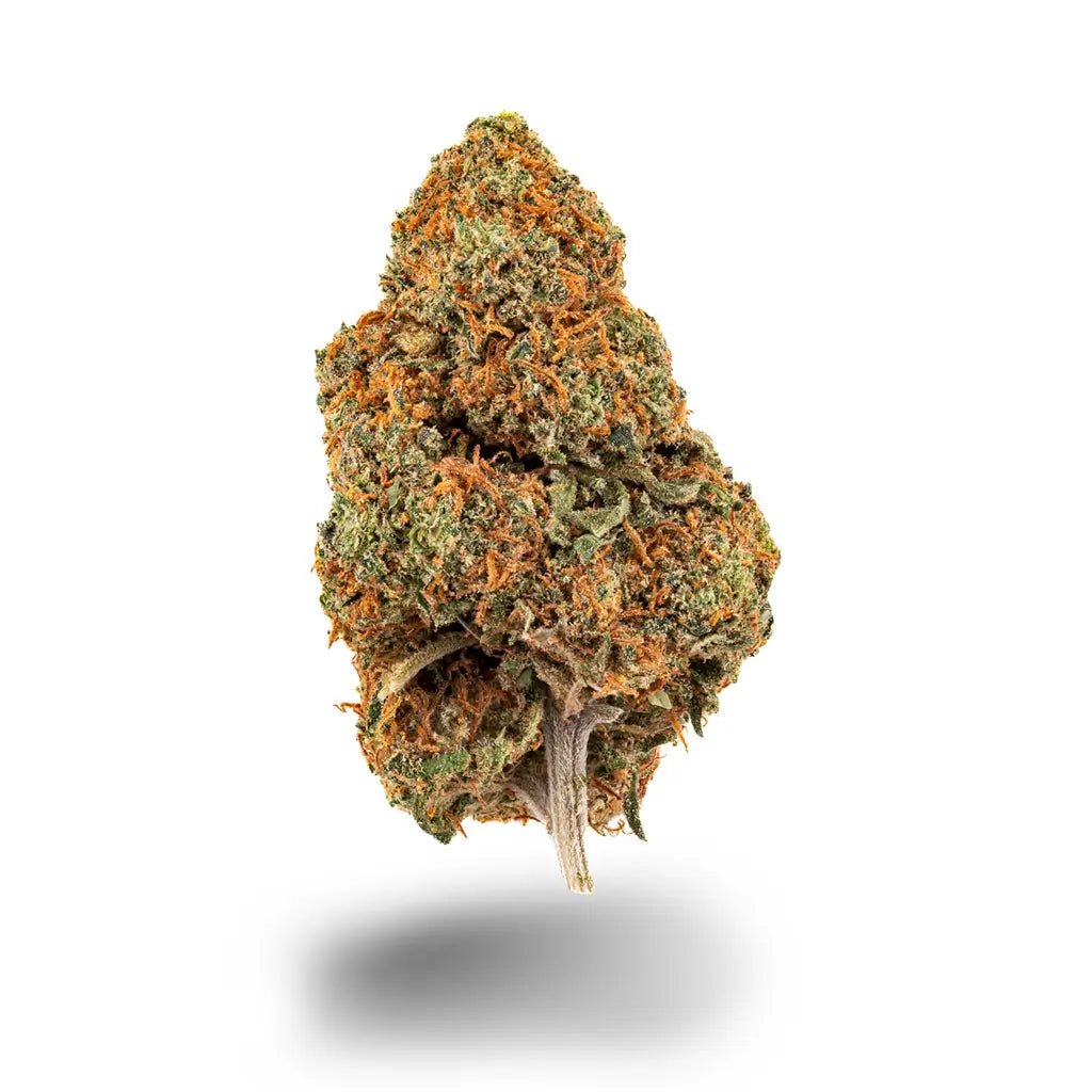 Orange Bud Blüten 2,5g - Hanfify