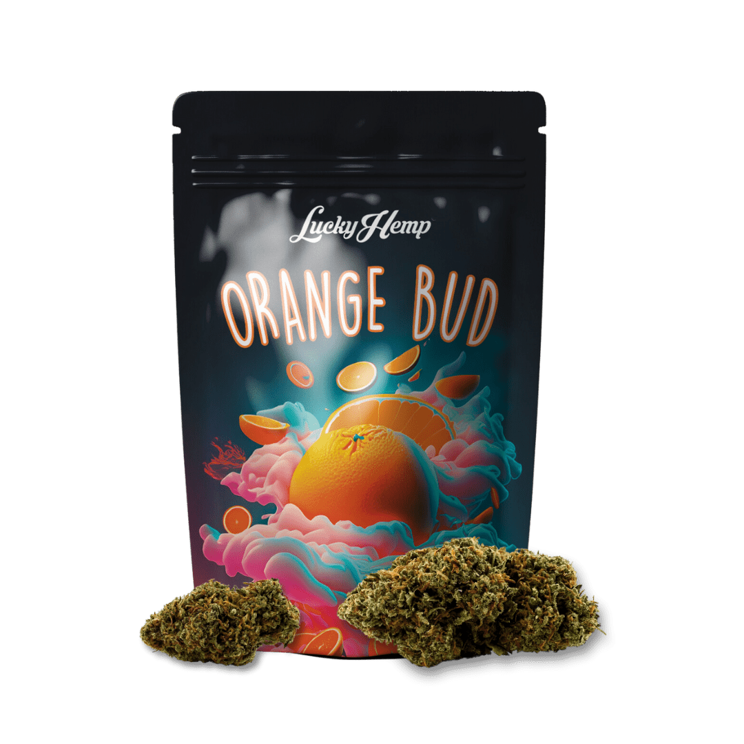 Orange Bud 3,5g Limited Pack - Blüten - Hanfify®