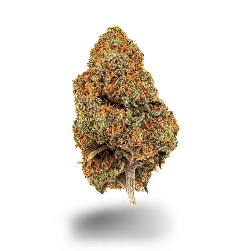Orange Bud - Blüten - Hanfify®