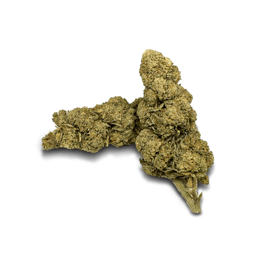Orange Bud Ökopack - Blüten - Hanfify®