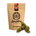 Orange Haze Ökopack - Blüten - Hanfify®