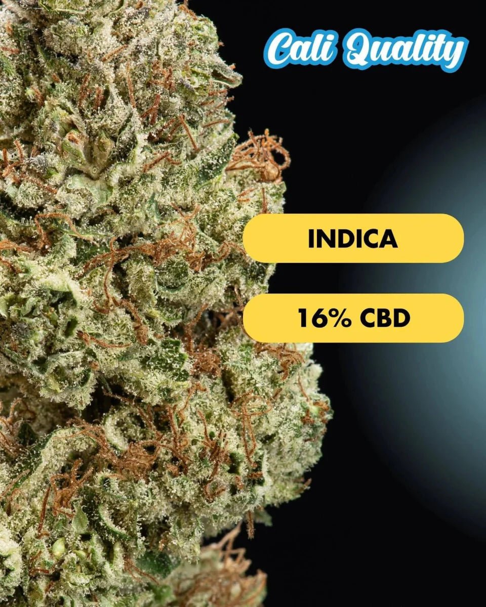 Orange Ice - CBD Blüte 16% - Blüten - Hanfify®