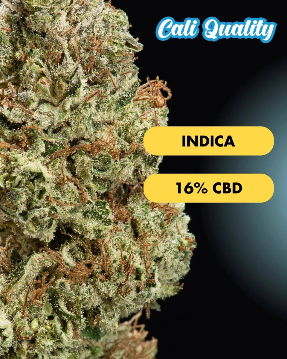 Orange Ice - CBD Blüte 16% Blüten - Hanfify