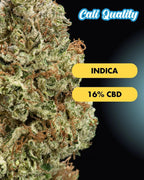 Orange Ice - CBD Blüte 16% Blüten - Hanfify