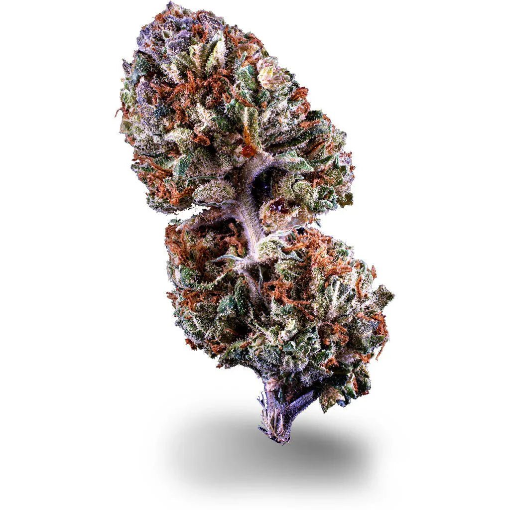 Orange X - Blüten - Hanfify®