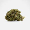 💎 ⁠Oriental Dates 19% CBD - Blüten - Hanfify®