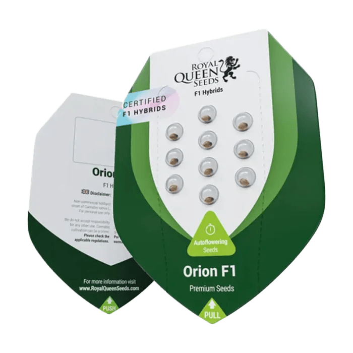 Orion F1 | Autoflowering Cannabissamen - Hanfify