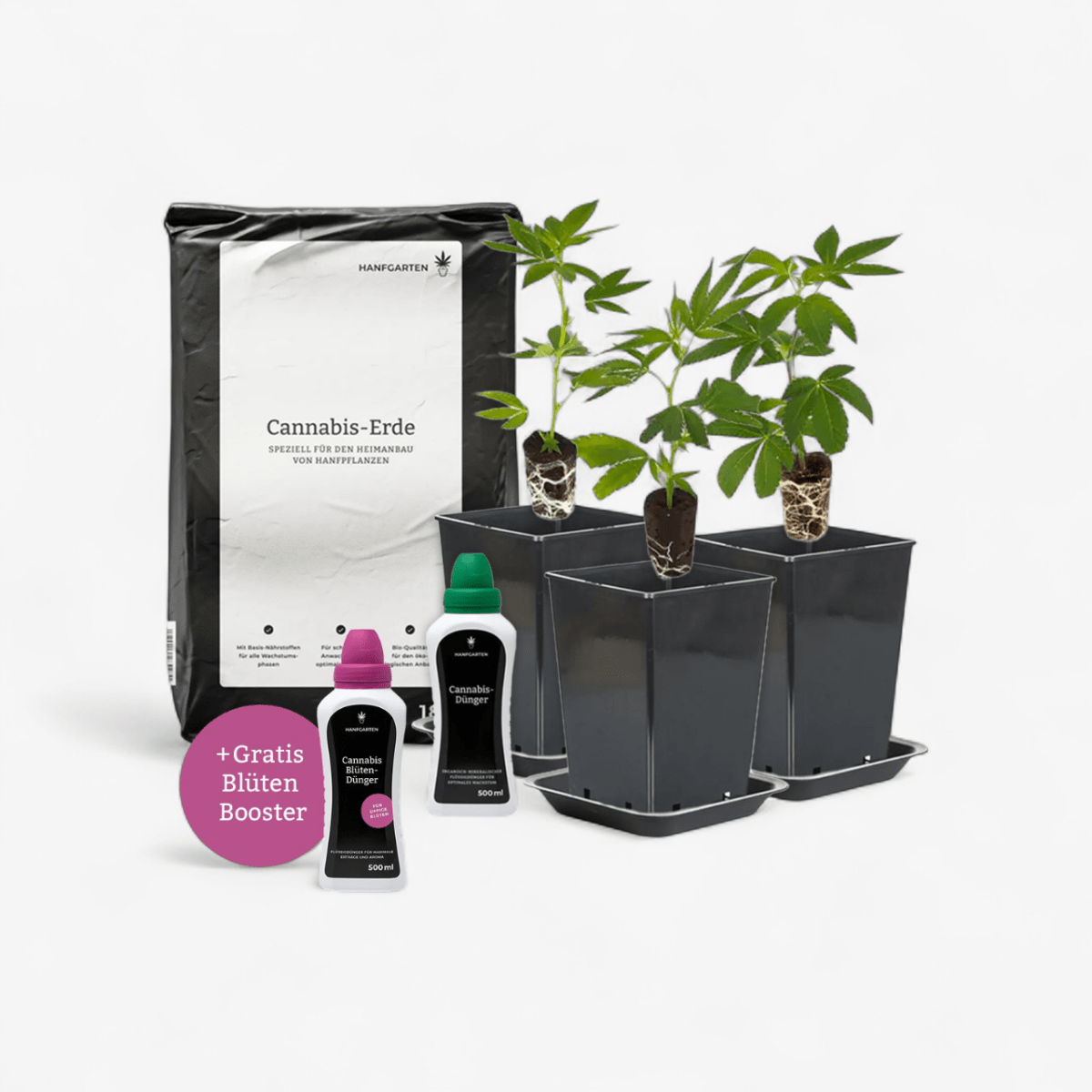 Outdoor - Anbau Rundum Sorglos Paket Hanfpflanzen - Hanfify