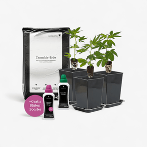 Outdoor - Anbau Rundum Sorglos Paket Hanfpflanzen - Hanfify