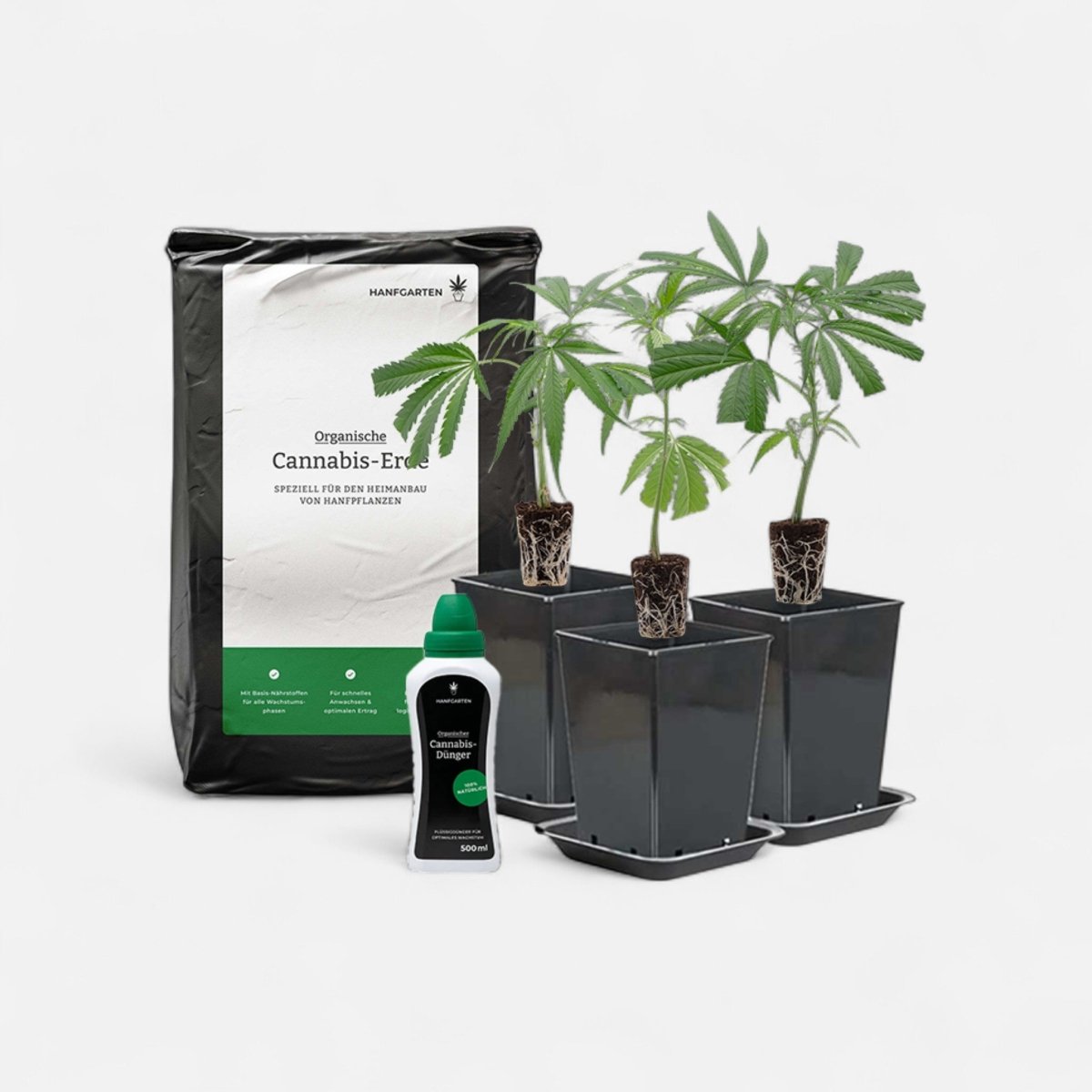 Outdoor - Anbau Rundum Sorglos Paket Hanfpflanzen - Hanfify