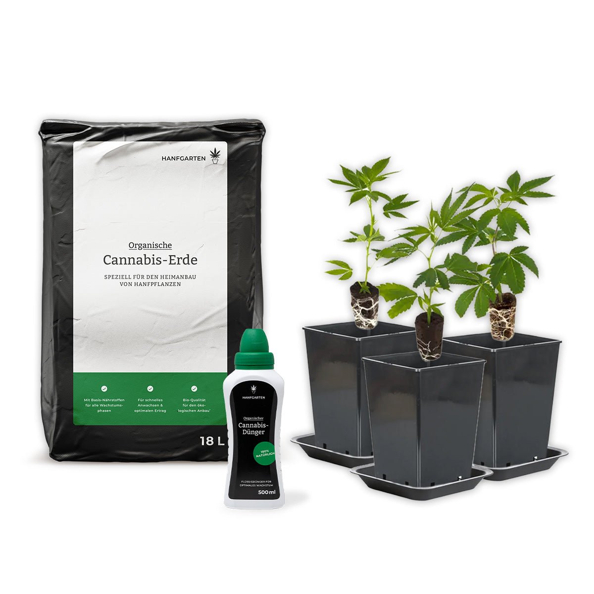 Outdoor - Anbau Rundum Sorglos Paket Hanfpflanzen - Hanfify
