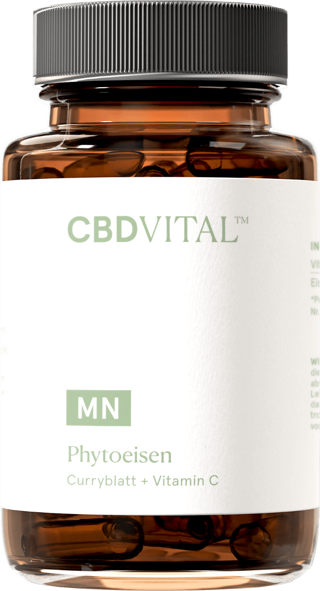 Phytoeisen Supplements 60 Kapseln - Hanfify