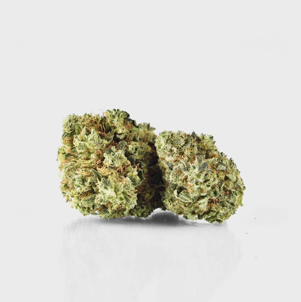 🍍 Pina Paff 20% CBD by Plusmacher Blüten 3g Dose - Hanfify®