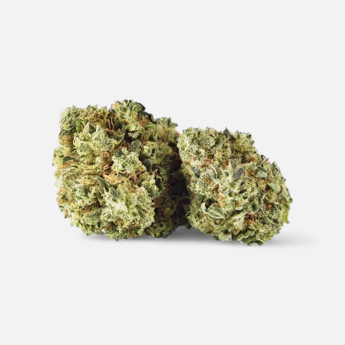 🍍 Pina Paff 20% CBD by Plusmacher - Blüten - Hanfify®
