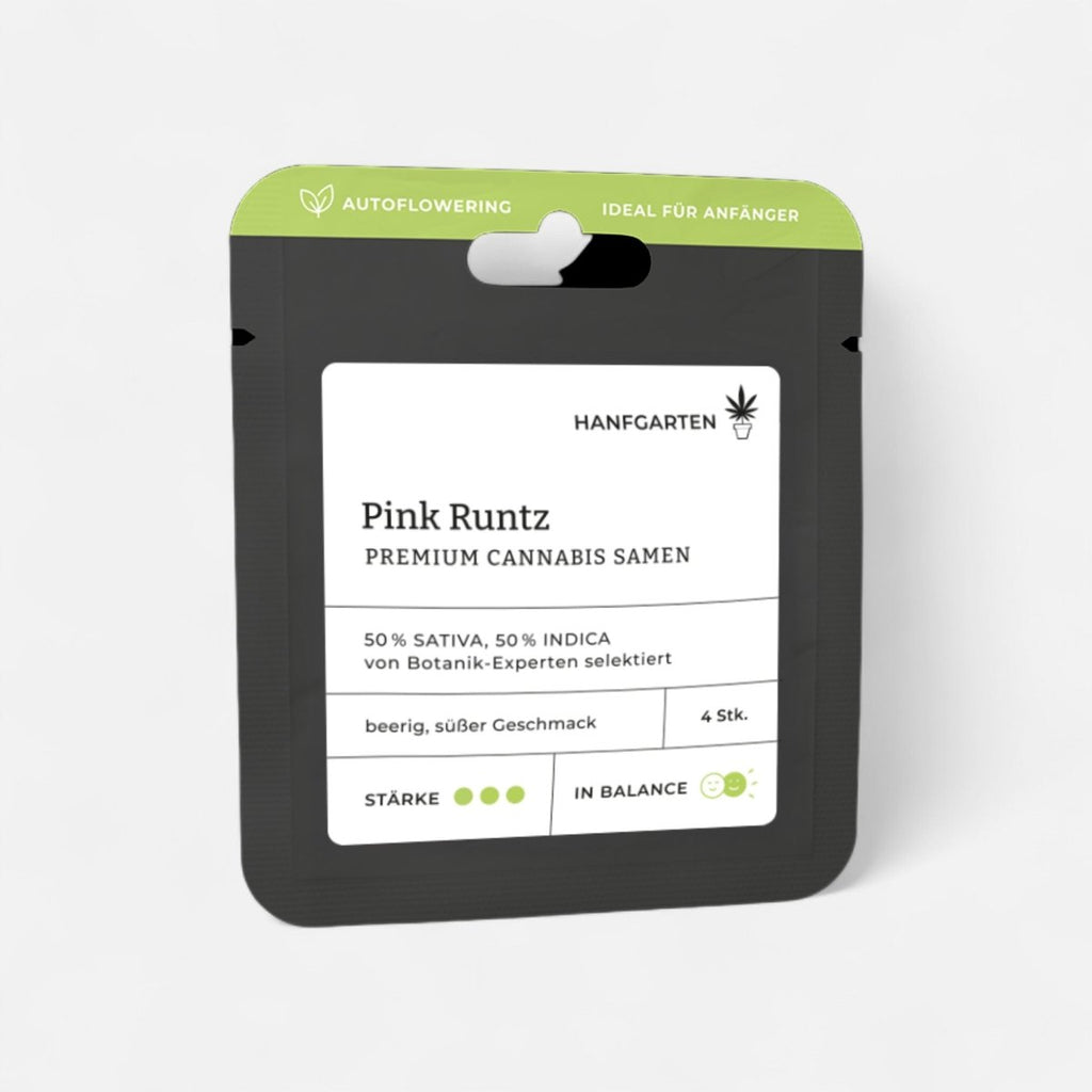 Pink Runtz | Autoflowering Cannabissamen - Hanfify