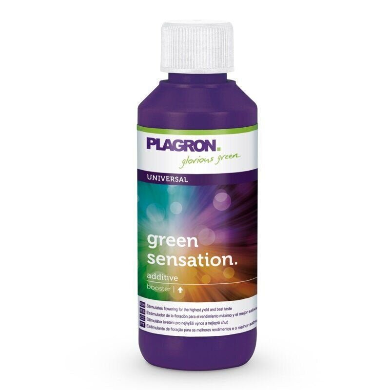 Plagron Green Sensation Growshop - Hanfify