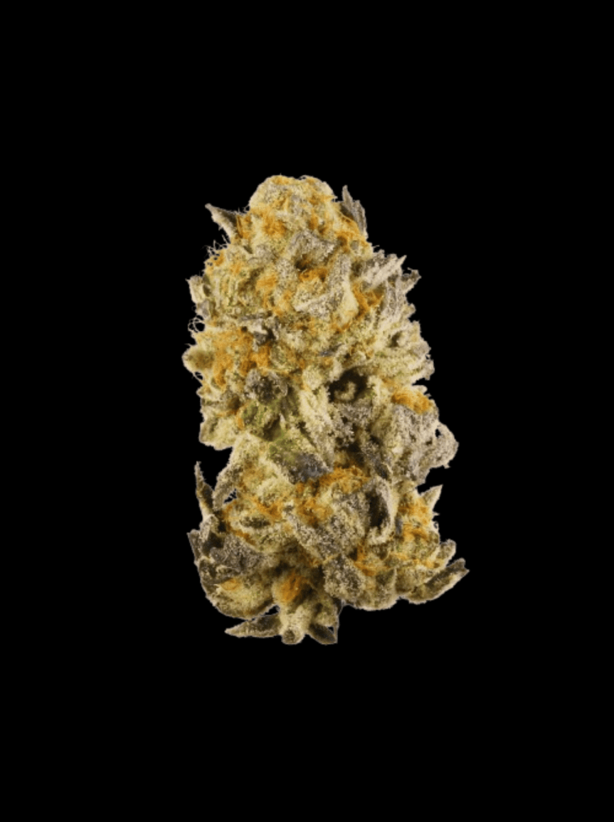 Platinum Chunck Cookies Hanfpflanzen - Hanfify