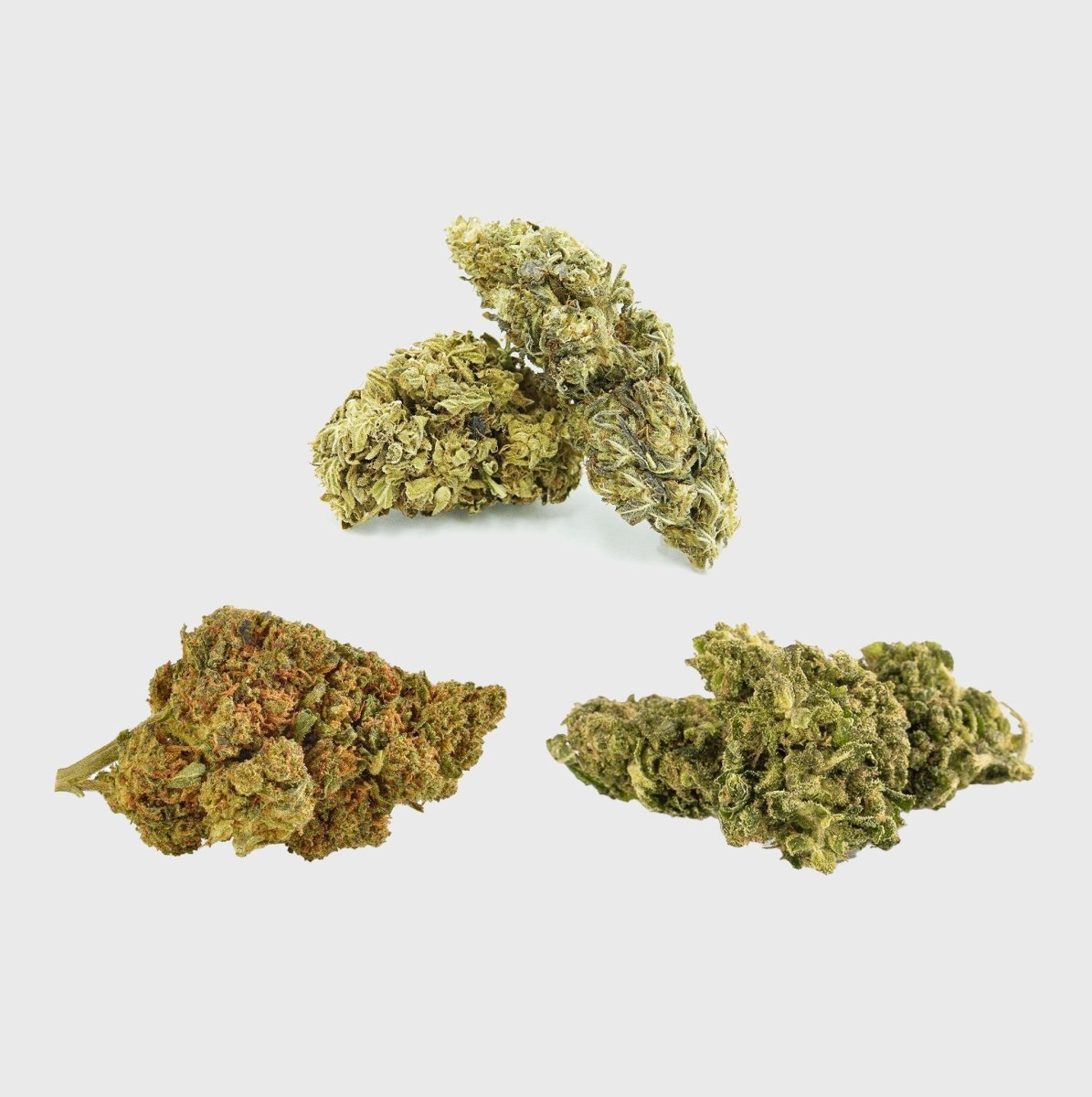 Power Fruit Punch🍋🍉🍓 Bundles - Hanfify®