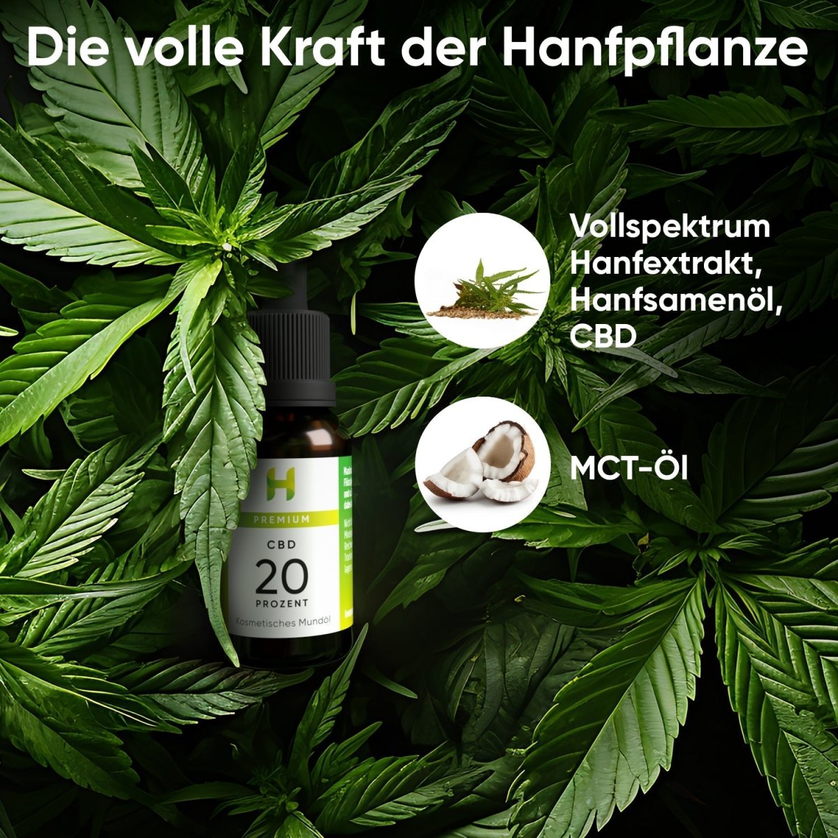 Premium CBD Öl 20 % Öl - Hanfify®