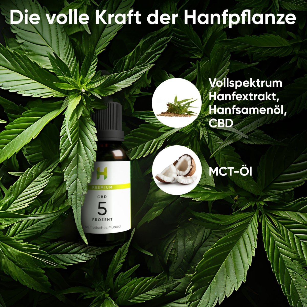 Premium CBD Öl 5 % (30 ml) Öl - Hanfify®