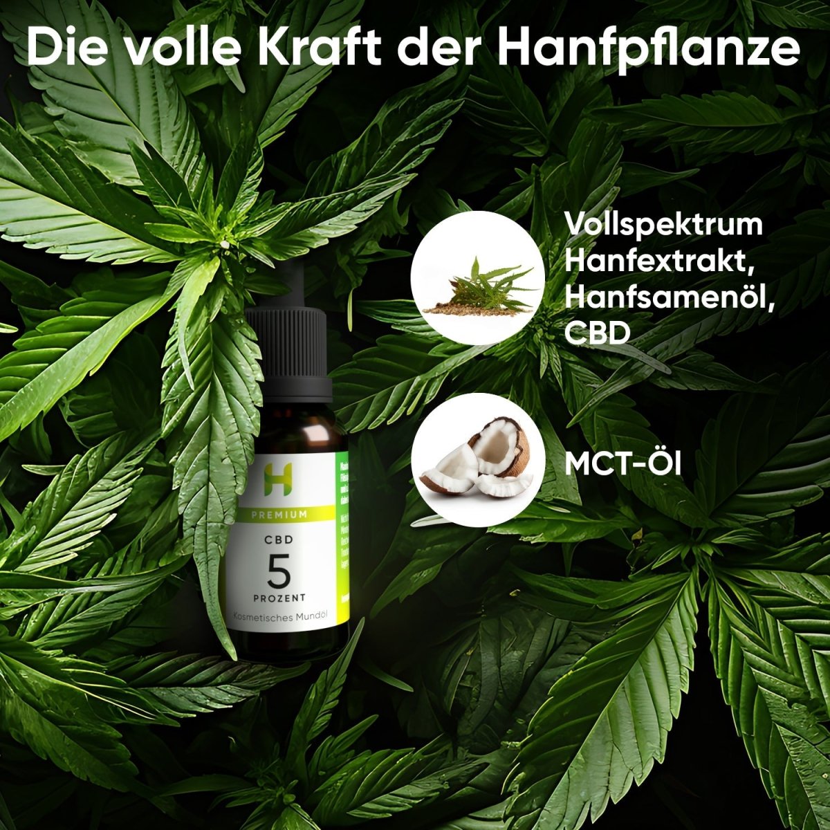 Premium CBD Öl 5 % Öl - Hanfify®