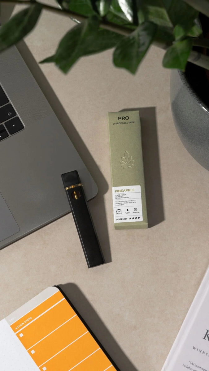 PRO Vape Vapes 🥭 Mango - Hanfify