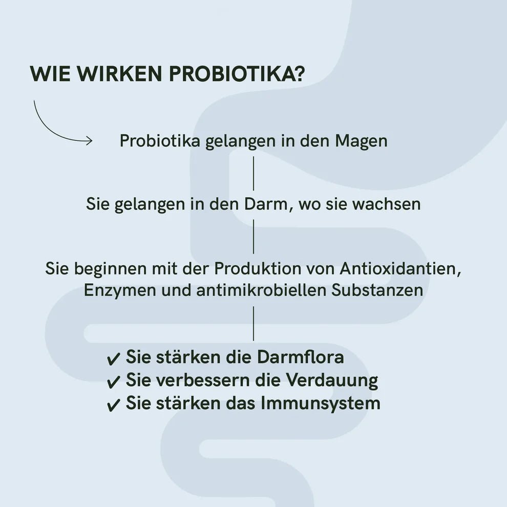 Probiotika Supplements - Hanfify