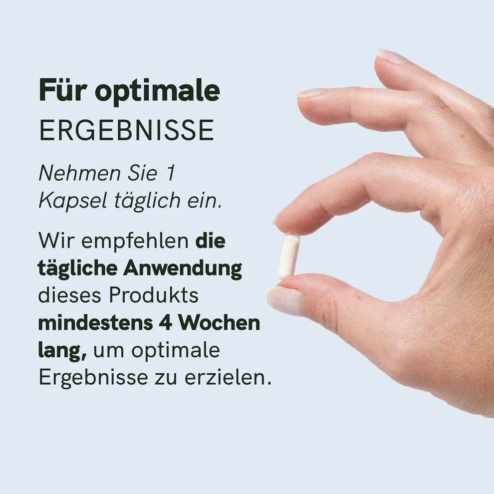 Probiotika Supplements - Hanfify