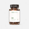 PURE CBD 50 - Kapseln - Edibles - Hanfify®
